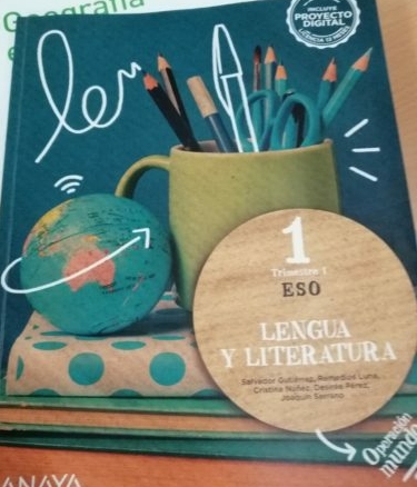 trasy rowerowe w Hiszpanii, Opis przykładowych szkół międzynarodowych w Hiszpanii