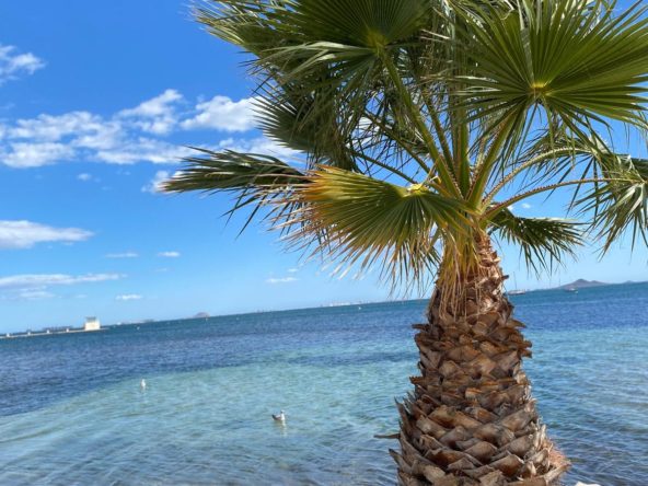 benidorm, Czy życie w Hiszpanii jest zdrowe?