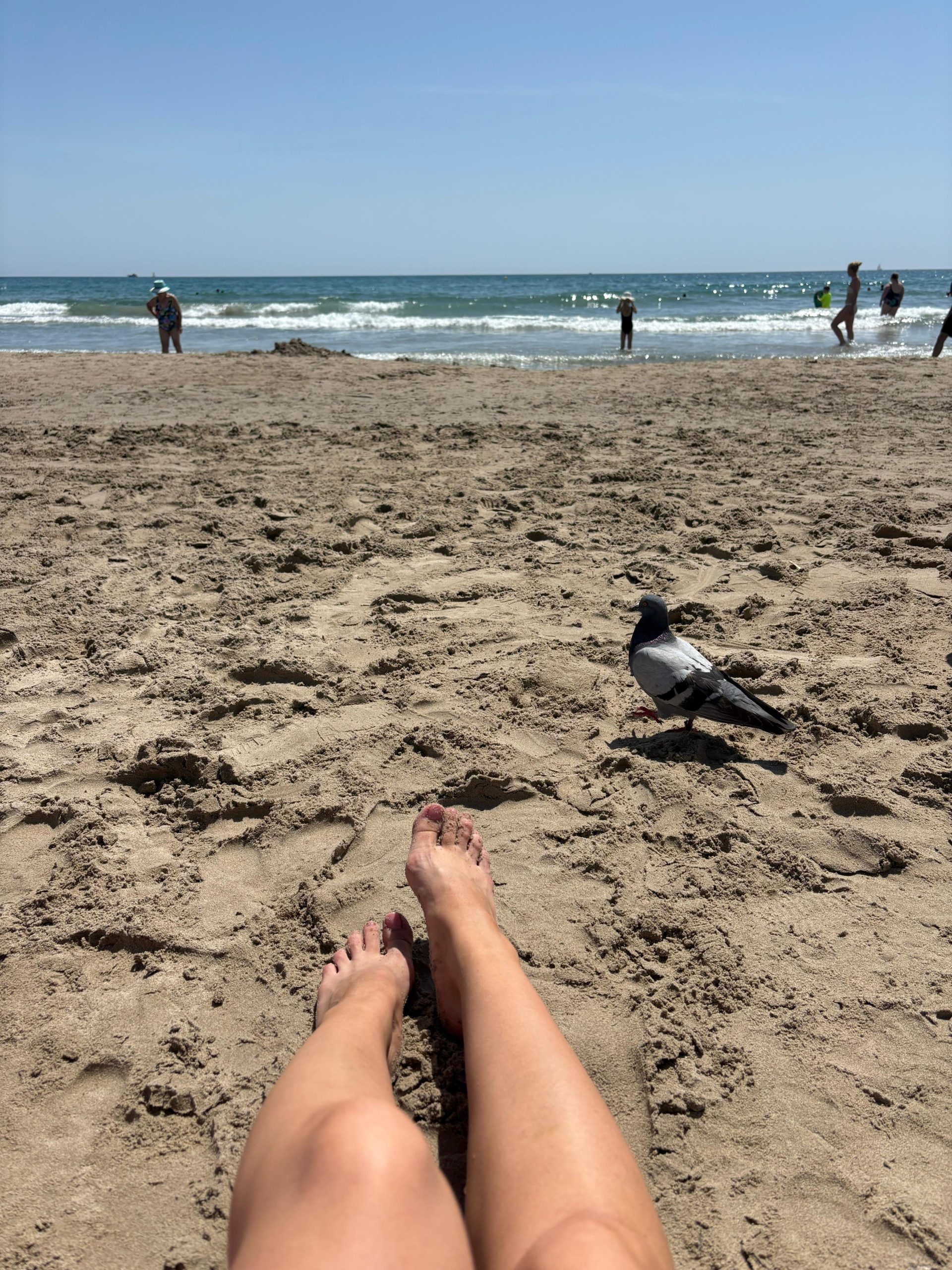 nieruchomości na Costa Blanca, Opinie