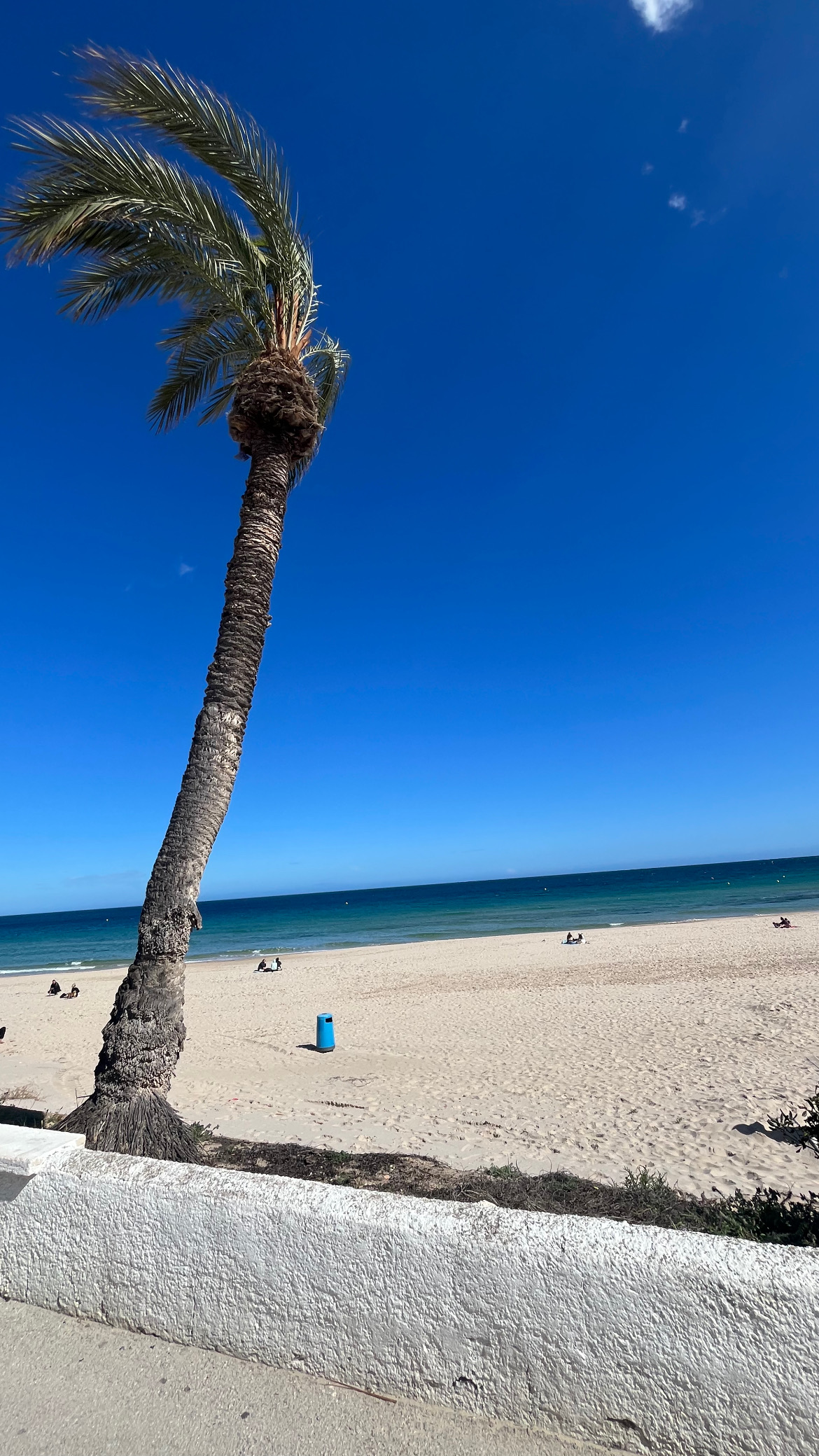 nieruchomości w Pilar de la Horadada, Pilar de la Horadada – miasto, które żyje cały rok i przyciąga kupujących nieruchomości