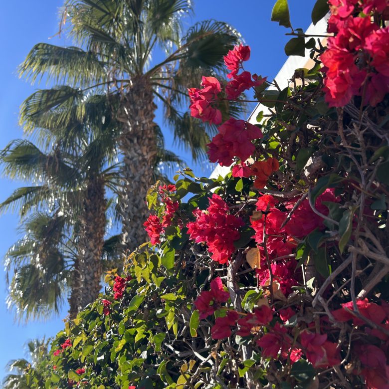 Styl życia Costa Blanca – kultura, nieruchomości premium | Blanca Spain